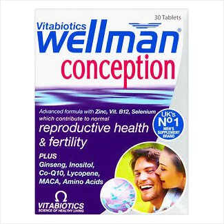 wellman conception